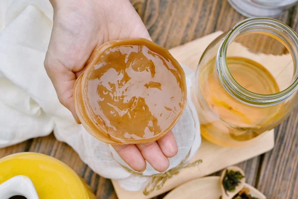 Hướng dẫn nuôi scoby làm kombucha