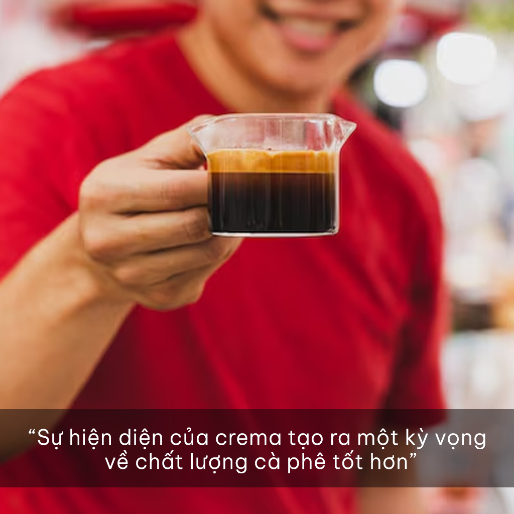 Crema là gì? Crema trong cà phê và cơ chế hình thành