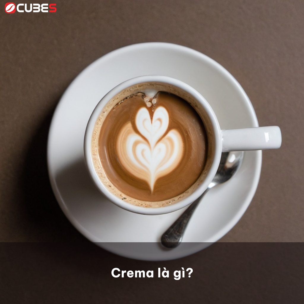 crema là gì