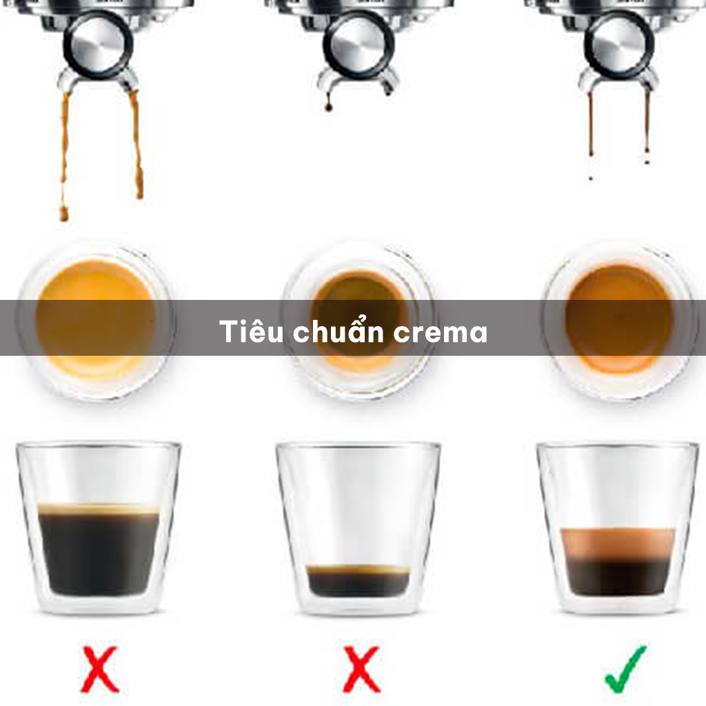 tiêu chuẩn crema